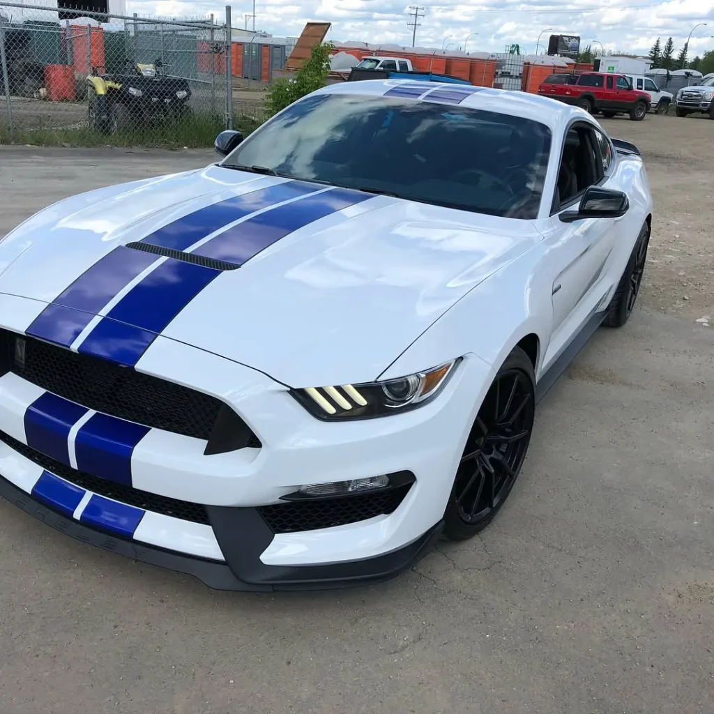 A white Mustang with two blue racing stripes down the centre.